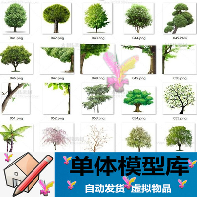 0122 免抠图PNG透明背景枯树植物树木大树园林景观PS设计素材松树