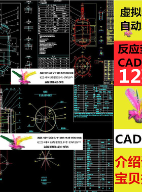 反应釜CAD图纸搪玻璃反应釜图纸2000L3000L5000L反应釜图纸素材