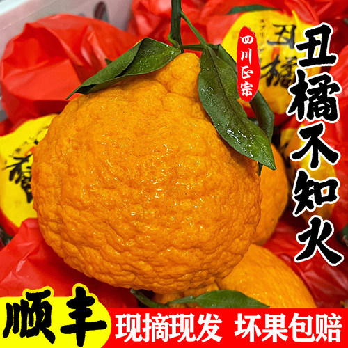 顺丰丹棱脆甜丑橘10斤当天发！