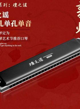 敦煌 煌之谣 24孔单音口琴 黑色Y2411单排升CDEFGAB 14调专业口琴