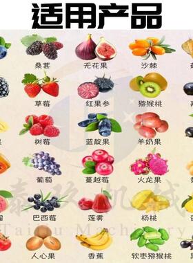 红去核打浆机商用焙果15762537奶茶果浆加工机酱器红参果树莓枣烘