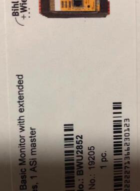 Bihl+Wiedemann 毕威 安全模块 BWU2852 型号齐全欢迎询价！