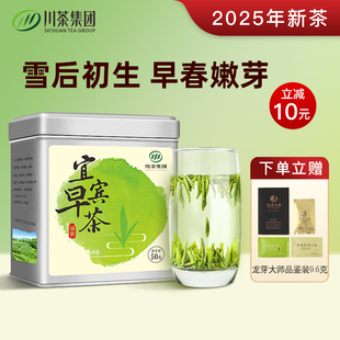 宜宾早茶绿茶茶叶特级2025年新茶自己喝精品雀舌高端春茶高山50g