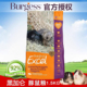 现货英国Burgess布格斯高纤维黑加仑豚鼠粮天竺鼠荷兰猪饲料1.5kg