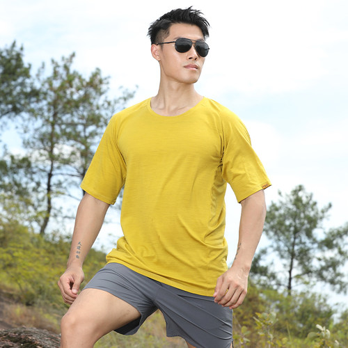 灰壳美利奴羊毛速干凉感天丝短袖