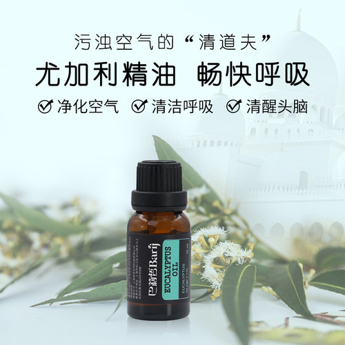 巴莉哲伊朗尤加利精油 净化空气 畅快呼吸15ml