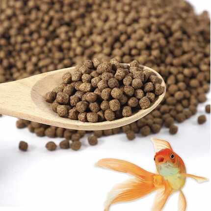 鱼食小颗粒鱼粮上浮营养均衡高蛋白红草金鱼锦鲤专用粮不浑水