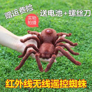抖音同款遥控整蛊蜘蛛儿童电动仿真爬行动物机器人蜘蛛侠男孩玩具