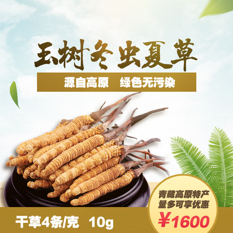 臻西堂玉树冬虫夏草4条/克野生冬虫草那曲礼盒正品10克西藏玉树