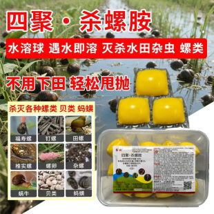 26%药球四聚杀螺胺稻田沟渠除福寿螺钉螺蜗牛贝类蚂蟥专用杀虫剂