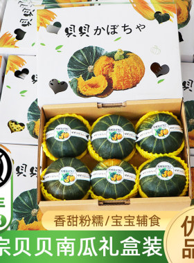 贝贝小南瓜板栗味5-6只礼盒顺丰