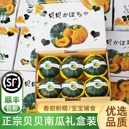 贝贝小南瓜板栗味5-6只礼盒顺丰