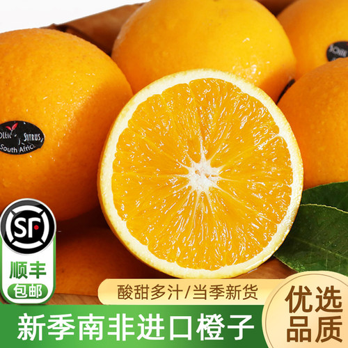埃及/南非进口橙子新鲜水果顺丰
