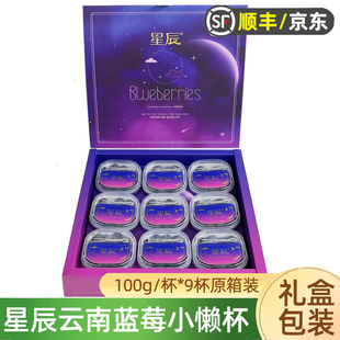 云南星辰L25花香蓝莓小懒杯9杯礼盒装 水果脆甜蓝莓超能杯鲜果顺丰