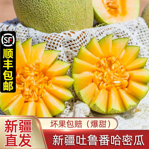 正宗新疆哈密瓜西州蜜彩箱装
