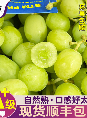 新季秋天脆甜地球青提顺丰
