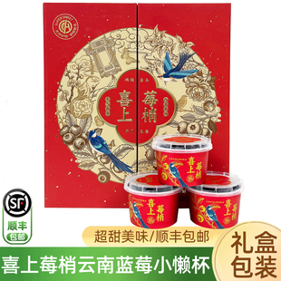 喜上莓梢云南蓝莓小懒杯礼盒装 清甜多汁新鲜L25花香蓝莓鲜果顺丰