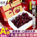 智利进口桑提娜车厘子大果礼盒新鲜水果santina黑珍珠大樱桃顺丰