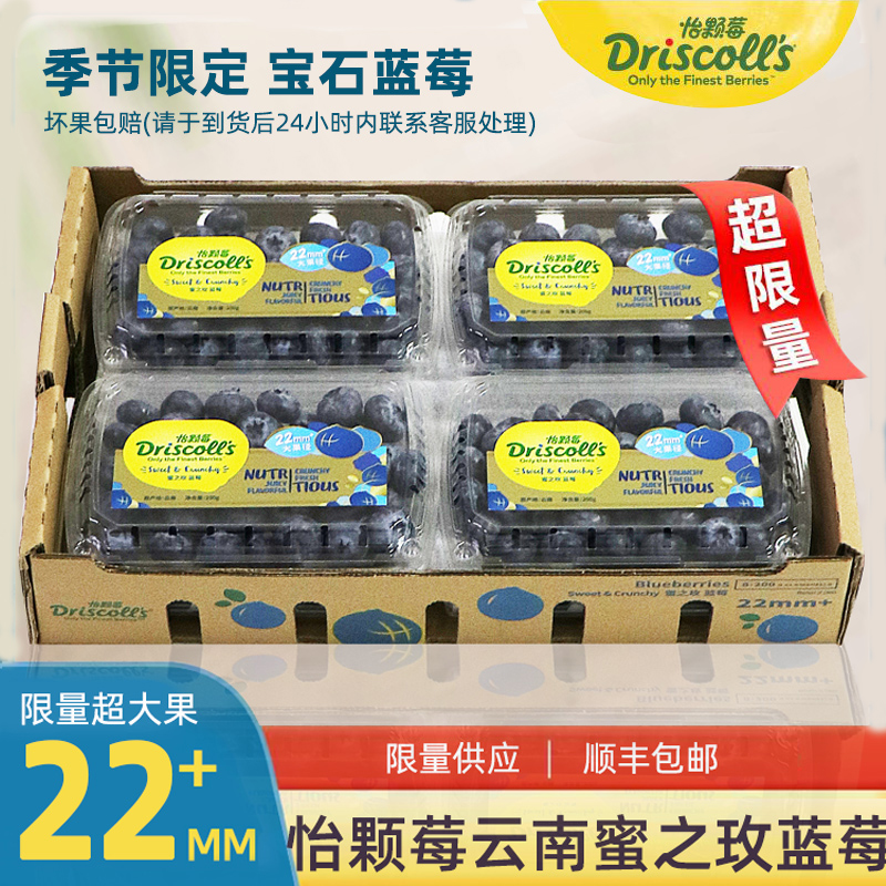 怡颗莓云南蜜之玫蓝莓顺丰