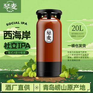 琴大师精酿鲜啤西海岸20L大桶IPA精酿餐饮浑浊商用啤酒
