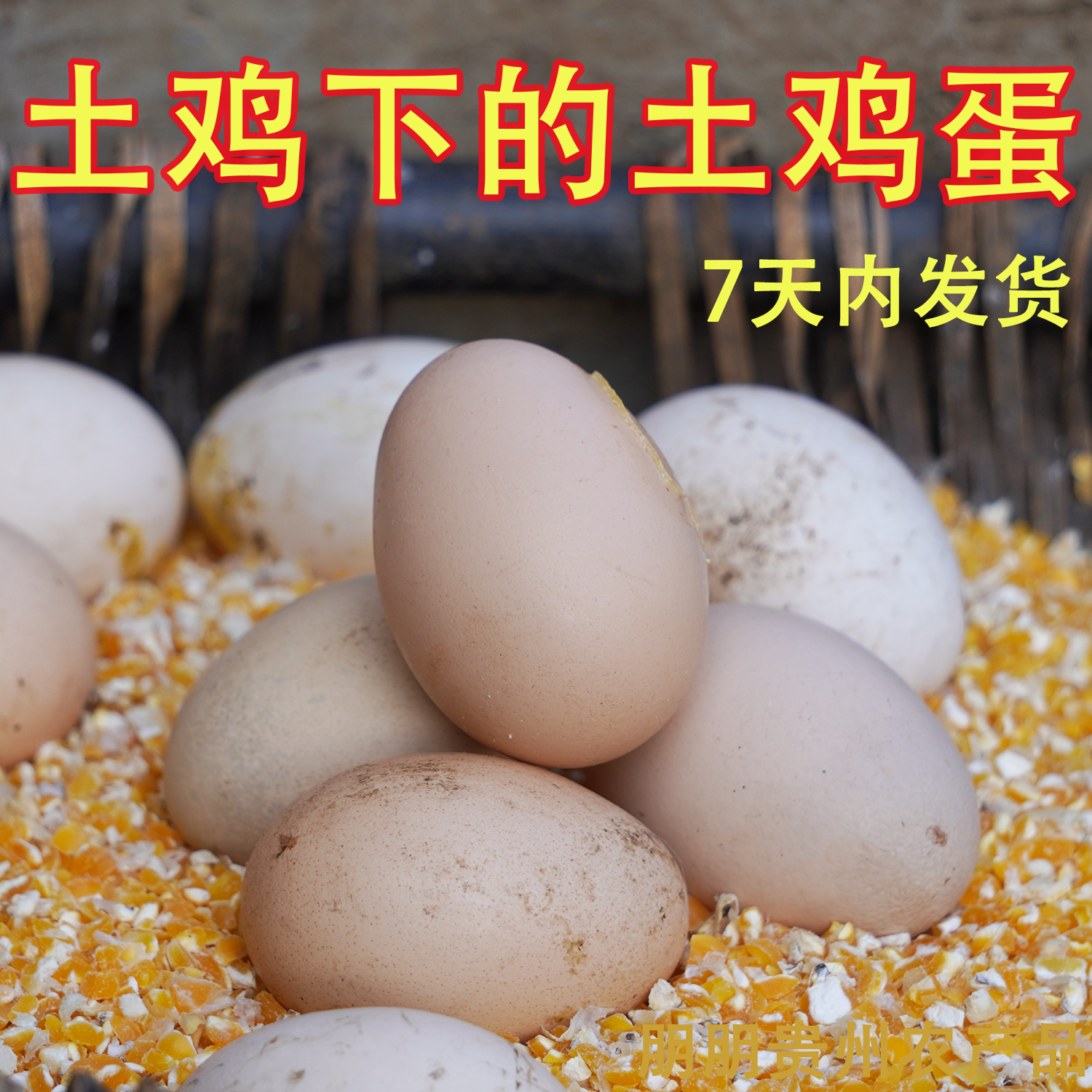 真土鸡蛋贵州农村人自己家里散养土鸡下的土鸡蛋30枚,水产肉类/新鲜蔬果/熟食,鸡蛋,淘宝优惠券,粉丝福利购,淘宝优惠卷