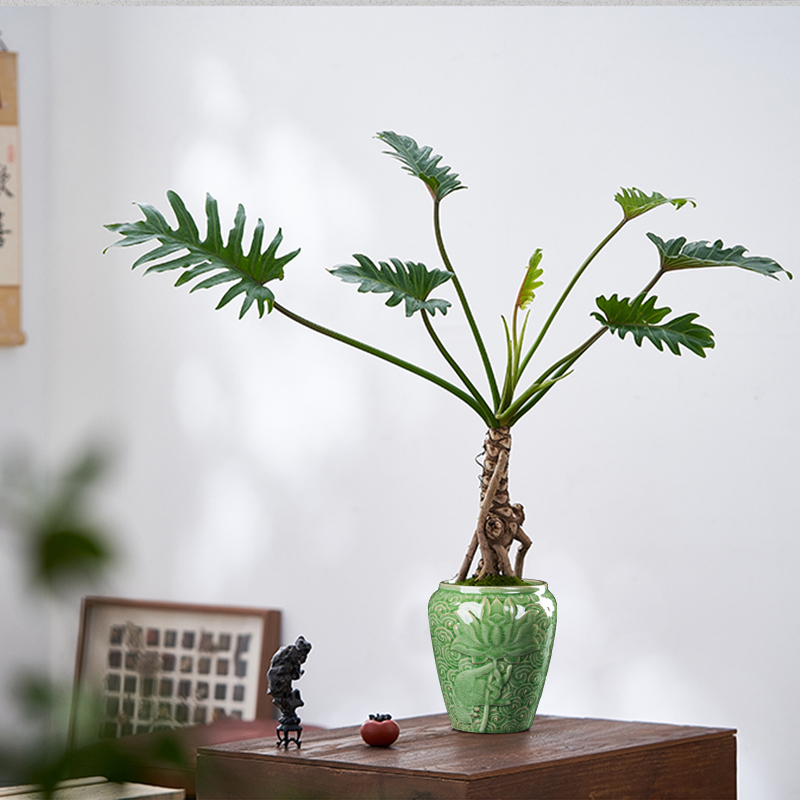 高温陶瓷手工冰裂签筒悬崖飘枝兰花专用高款花盆四方圆形绿植盆