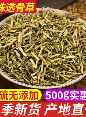 透骨草 野生珍珠透骨草中药材正品500克泡脚可磨粉中草药包邮