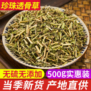透骨草 野生珍珠透骨草中药材正品500克泡脚可磨粉中草药包邮
