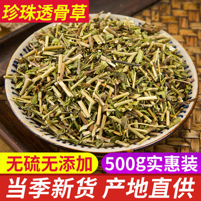 珍珠透骨草中药材正品500克