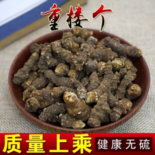 中药材重楼500克实物七叶一枝花蚤休枝花头草河车干货免费打粉