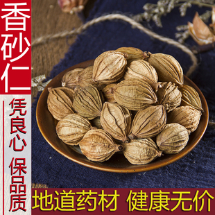 正品香砂仁香料500g克包邮香砂沙仁四川金砂仁调料川八角桂皮香叶