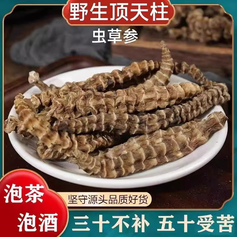 虫草参中药材500克当季新货云南地参干货竹节参地蚕子煲汤料正品