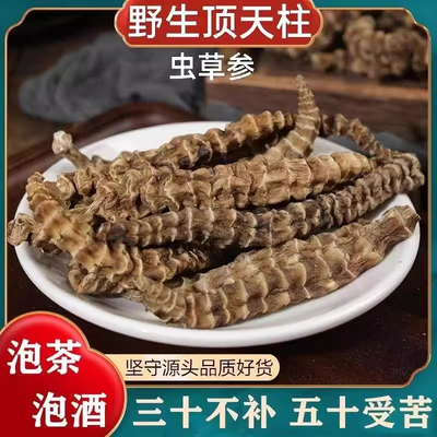 虫草参中药材500克当季新货