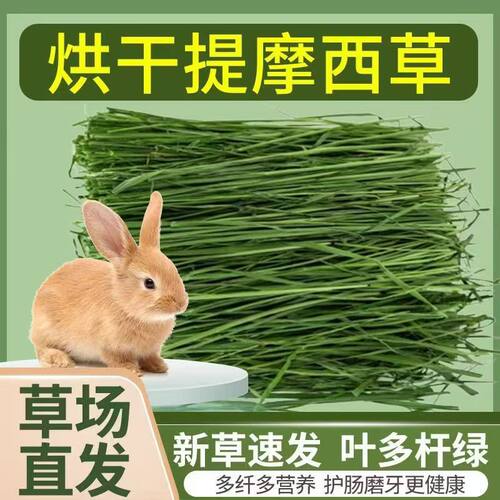 提摩西草24年新烘干提草头茬北提兔粮龙猫荷兰猪饲料牧草兔子干草