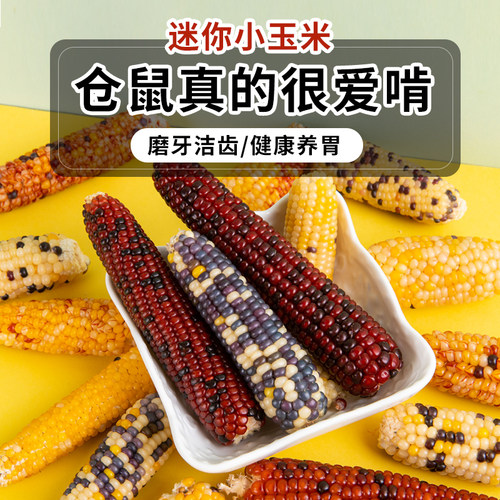 洁西仓鼠零食磨牙棒小玉米