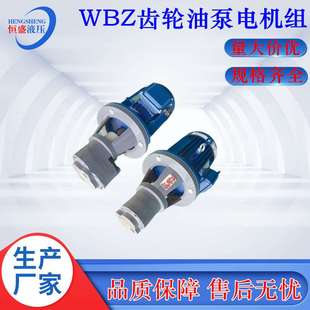 厂家直销LBZ 125液压齿轮润滑机油泵电机总成 LBZ