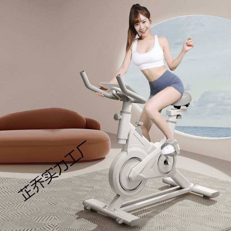 DGN智能动感单车家用室内健身车健身房器材超静音运动脚踏自