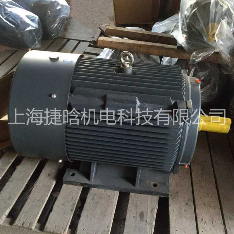 供应上海三相异步电机 YX3-250M-6极 37KW 电动机马达
