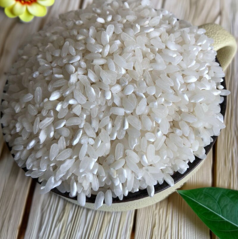 新鲜无农药不抛光不打蜡农家自种早稻籼米糙陈炒饭3斤肠粉皮发糕