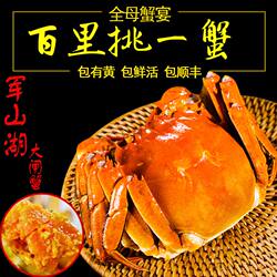 军山湖大闸蟹4.0两8只大蟹南昌水产现货全母蟹江西螃蟹鲜活特大大