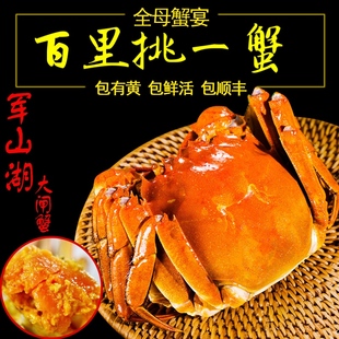 军山湖大闸蟹4.0两8只大蟹南昌水产现货全母蟹江西螃蟹鲜活特大大