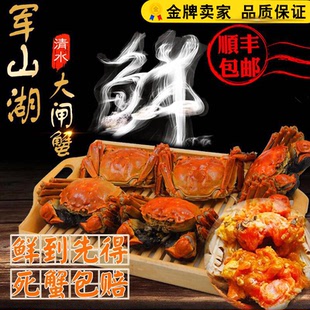 南昌军山湖大闸蟹2.5-2.8两10只母蟹鲜活现货礼盒装螃蟹顺丰超大