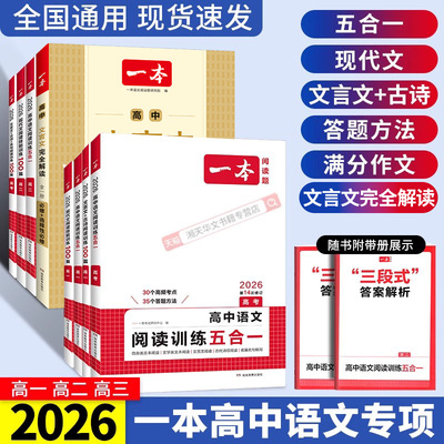 一本高中语文专项训练