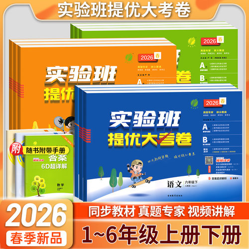 小学实验班提优大考卷