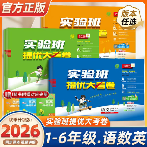 小学实验班提优大考卷