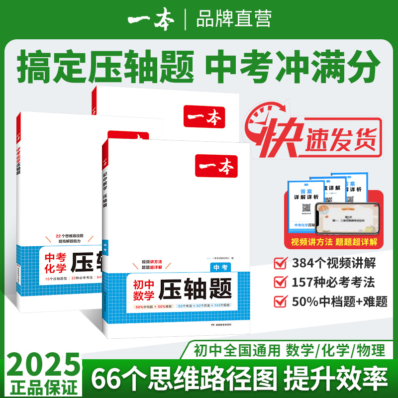 2025一本中考数理化压轴题人教版