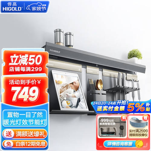 悍高（HIGOLD）厨房充电式黑色置物架壁挂式多功能收纳调料架刀架