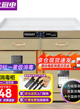 金立厨电茶水消毒柜商用餐饮大容量餐厅饭店配餐柜厨房餐具茶杯消