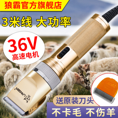 狼霸羊毛电推剪36V大功率剃毛器