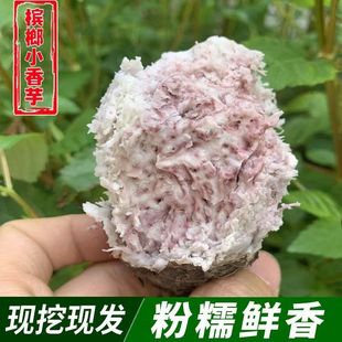 正宗广西荔浦香芋广西槟榔芋新鲜芋艿粉糯香甜小芋仔非牛奶芋9斤